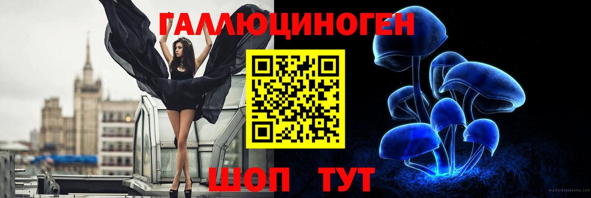 Кингисепп  Псилоцибиновые грибы мицелий  Галлюциногенные грибы ЛСД  Вход с VPN 